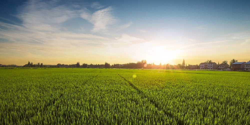 生鲜农产品全产业链信息追溯解决方案