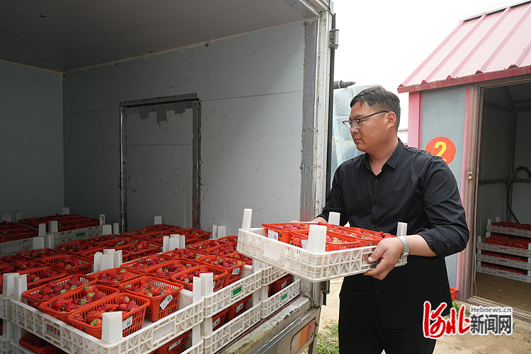 河北省任丘市筑牢食用农产品全程质量可追溯体系